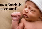 How a Narcissist is Created?